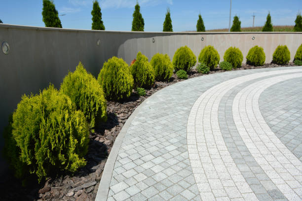 Best Residential Driveway Paver Services  in Blasdell, NY